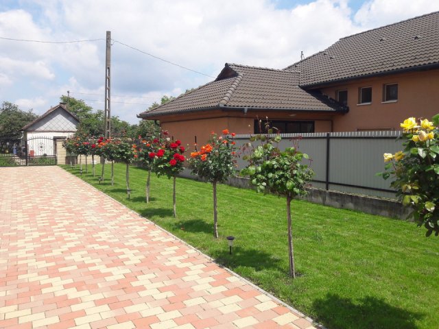 Steigerwald-Szabó Zsuzsanna és Steigerwald Roland kertje 05